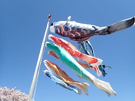 2604月写真08